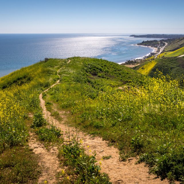 Corral Canyon Super Bloom Inspire Malibu